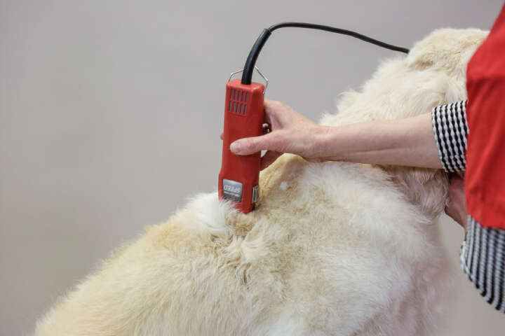 AESCULAP Schermaschine Favorita Speed